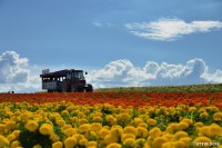 /album/%e5%a4%8f/a1-7-jpg/